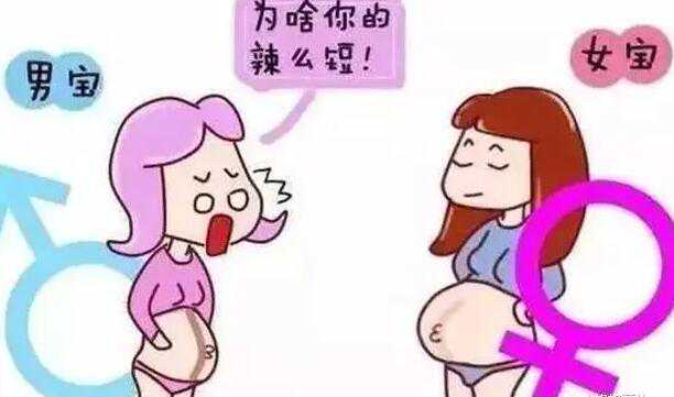 上海供卵有没有包生 上海三代试管医院生男孩费用： ‘怀女儿和怀儿子初期症